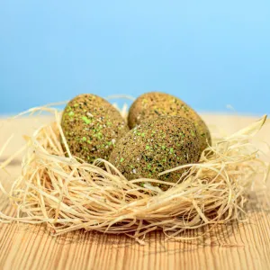 Bumbu Toys | Ankylosaurus Eggs Set of 3