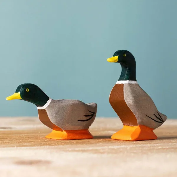 Bumbu Toys | Mallard Duck Peering