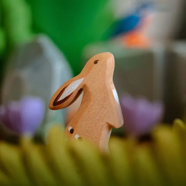 Bumbu Toys | Rabbit Curious