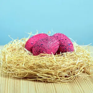 Bumbu Toys | Spinosaurus Eggs Set of 3