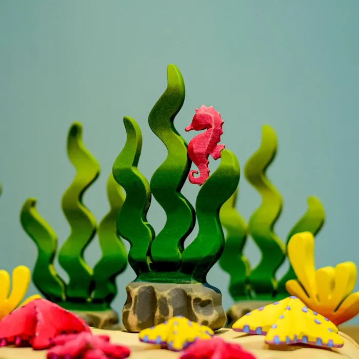 Bumbu Toys | Sugar Kelp Seaweed