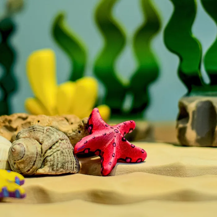 Bumbu Toys | Sugar Kelp Seaweed