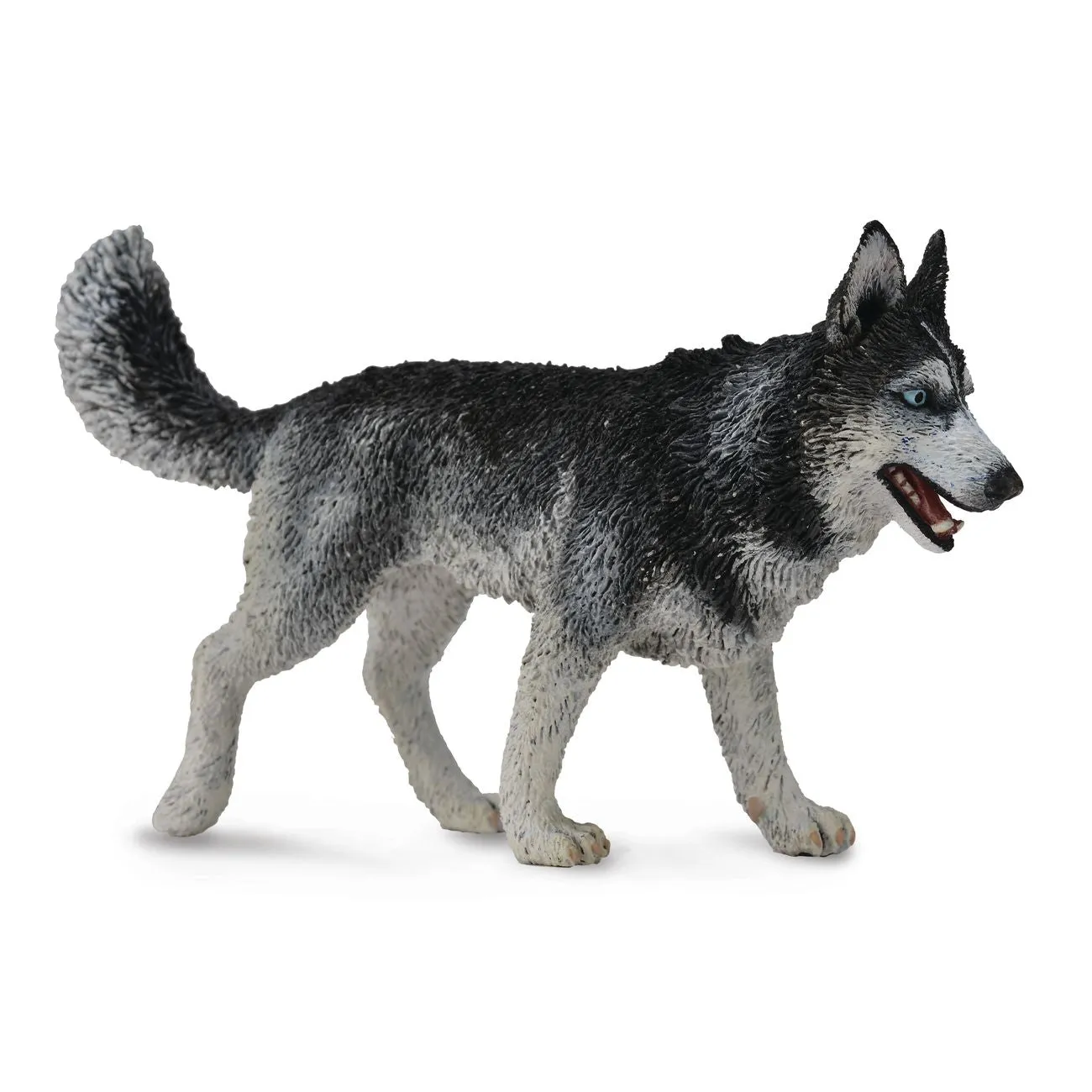 Collecta Siberian Husky (Yellow)