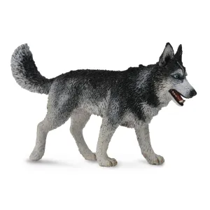 Collecta Siberian Husky (Yellow)