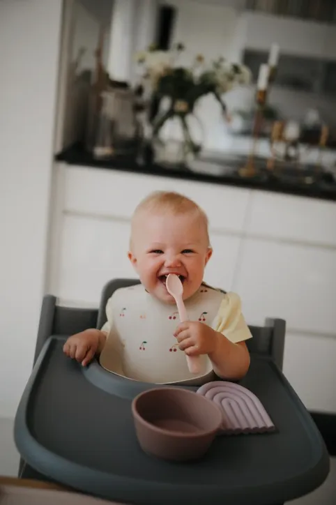 Mushie Silicone | Suction Bowl | Blush