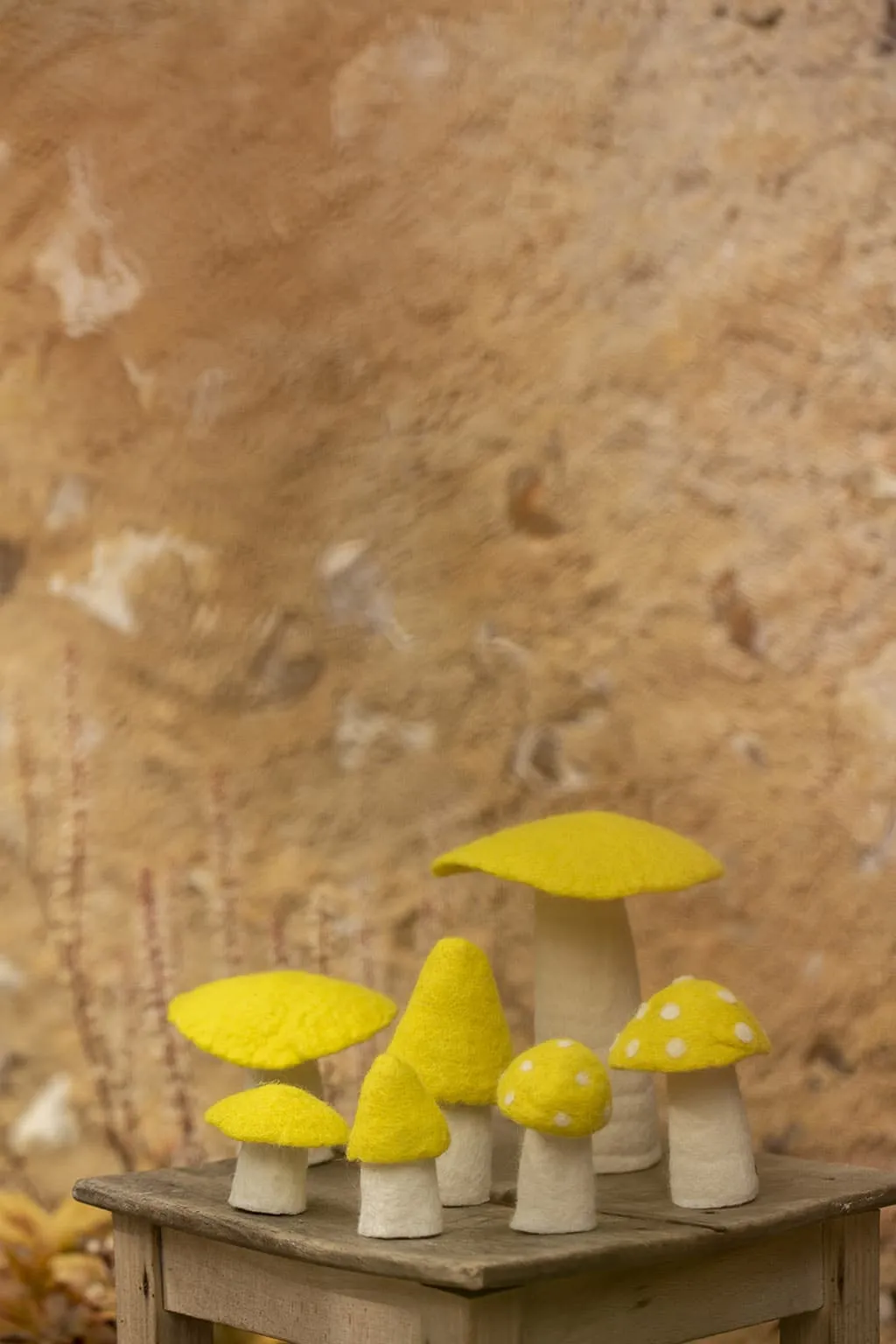 Muskhane Mushroom - Medium 11cm - Sulphur Flower