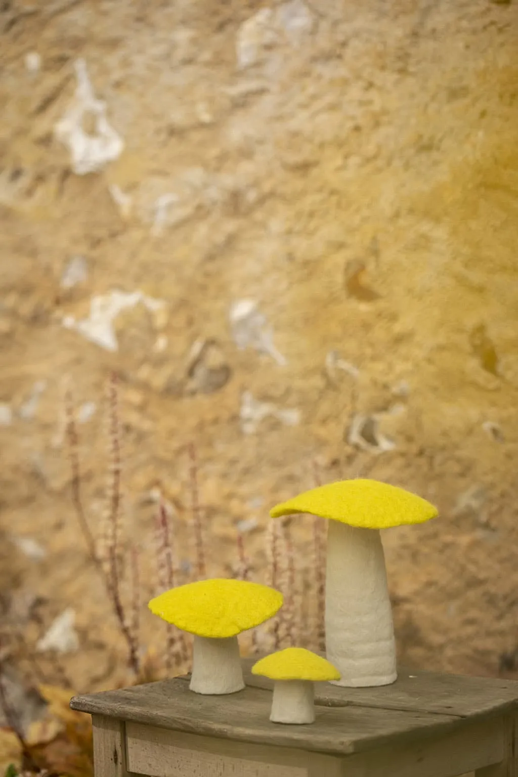 Muskhane Mushroom - Medium 11cm - Sulphur Flower