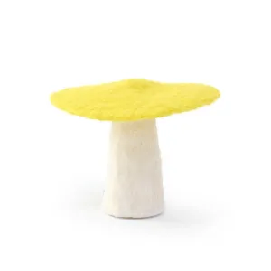 Muskhane Mushroom - Medium 11cm - Sulphur Flower