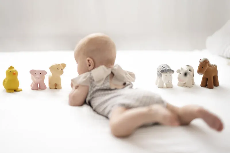 Tikiri Teether & Bath Toy | HORSE Gift Boxed