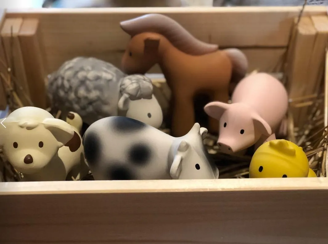 Tikiri Teether & Bath Toy | HORSE Gift Boxed