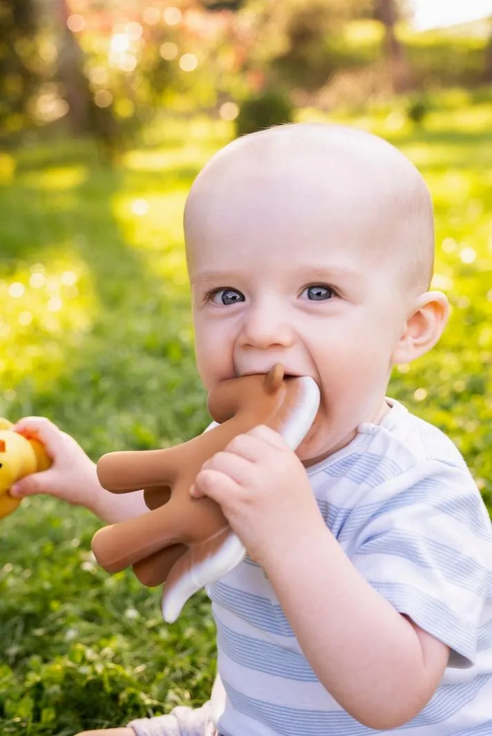 Tikiri Teether & Bath Toy | HORSE Gift Boxed