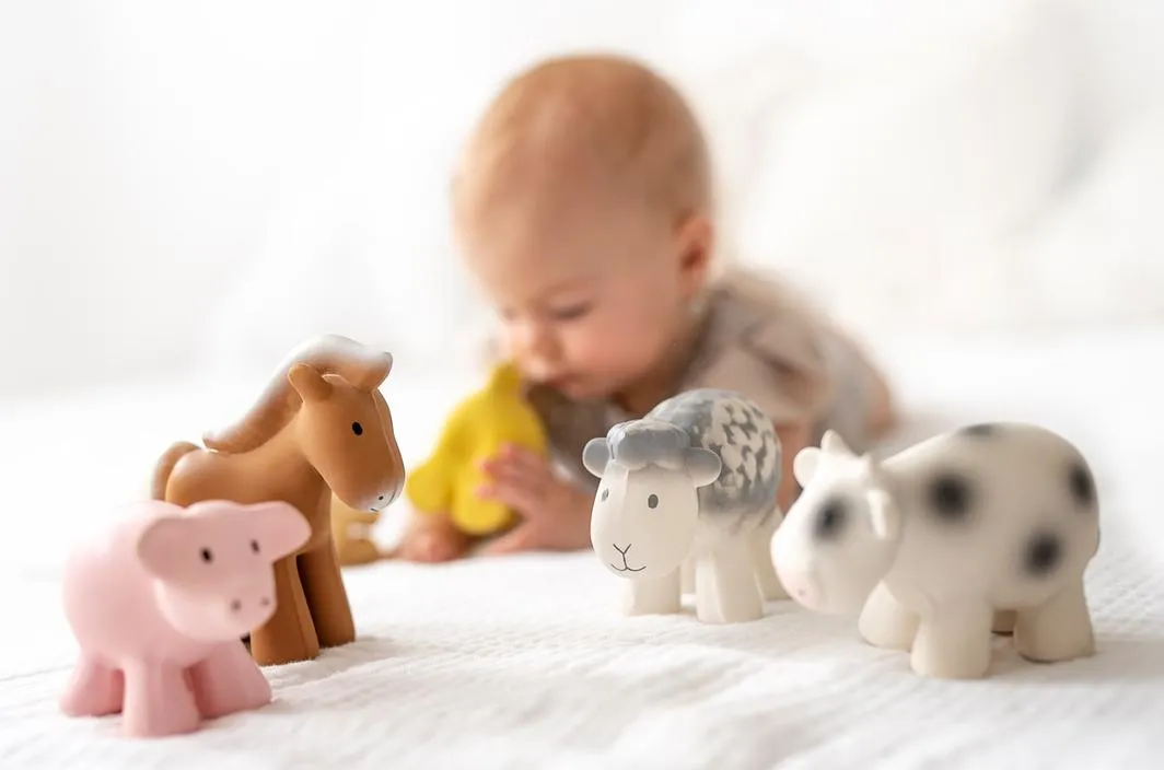 Tikiri Teether & Bath Toy | HORSE Gift Boxed